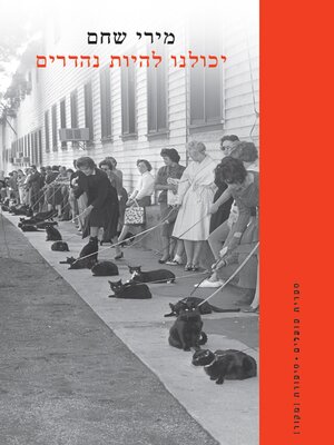 cover image of יכולנו להיות נהדרים (We Could Have Been Fabulous)